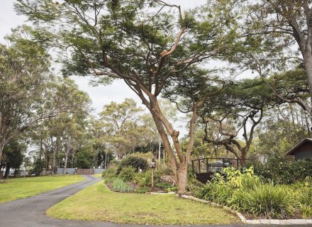 Timberstone, Gumdale 6