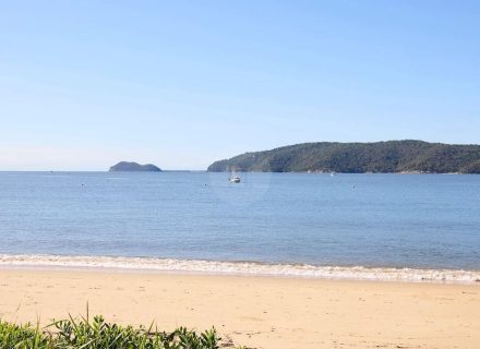 Timekeeper, Patonga 29