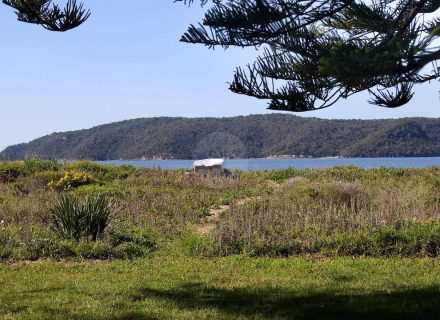 Timekeeper, Patonga 36
