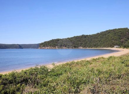 Timekeeper, Patonga 38