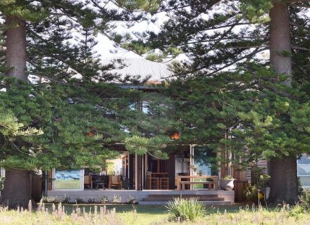 Timekeeper, Patonga 7