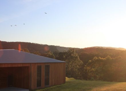 True North, Hoddles Creek-31