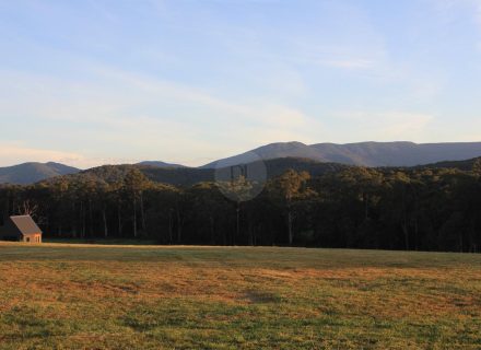 True North, Hoddles Creek-32