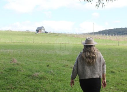 True North, Hoddles Creek-39