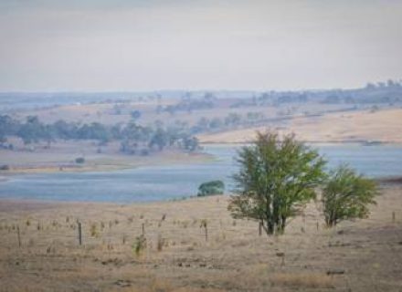 Driftwood Farm, Kyneton