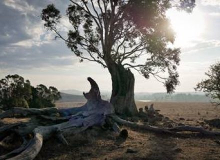 Driftwood Farm, Kyneton