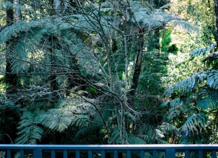 Belgrave, Dandenong Ranges