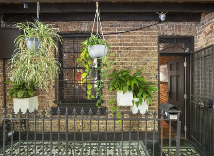 Uno Terrace, Surry Hills_36