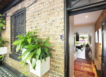 Uno Terrace, Surry Hills_37