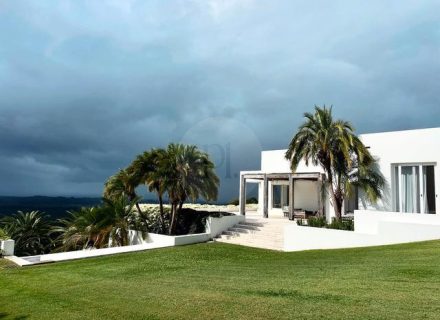 VILLA PALMAS1