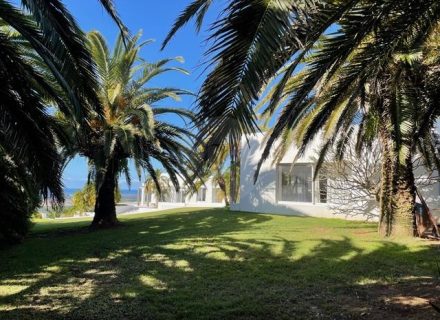 VILLA PALMAS12