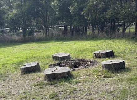 VIRIDI FIREPIT