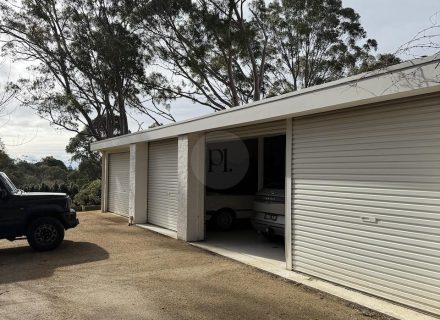 VIRIDI GARAGE AND CARS1