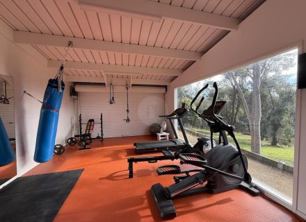 VIRIDI GYM3