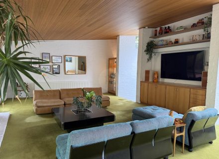 VIRIDI MAIN LIVING AREA9