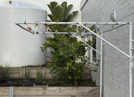 VIRIDI WASHING LINE1