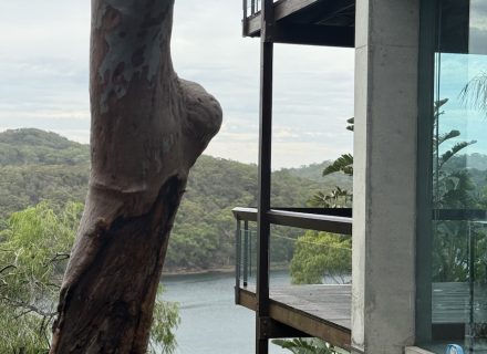 VORTEX, SEAFORTH79 DECK AND VIEW