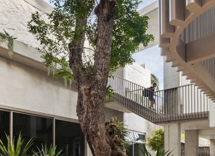 Vanillin, Caringbah South_133