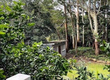 Verdure-Cottage-Thirroul-Garden_2281.jpeg