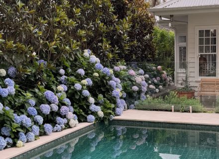 garden established