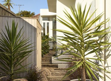 Vetiver, Bondi Beach-36