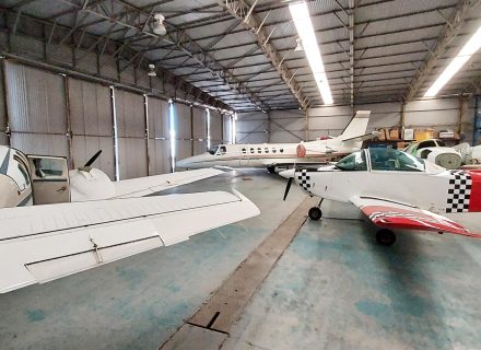 backyard garden established pool
