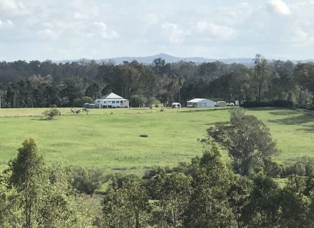 View-of-house-marquee-from-Plunkett-Rd.jpg