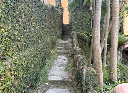 Villa Biscaya, Rose Bay-48