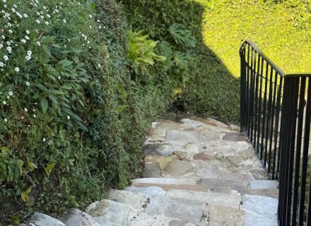 Villa Biscaya, Rose Bay-49