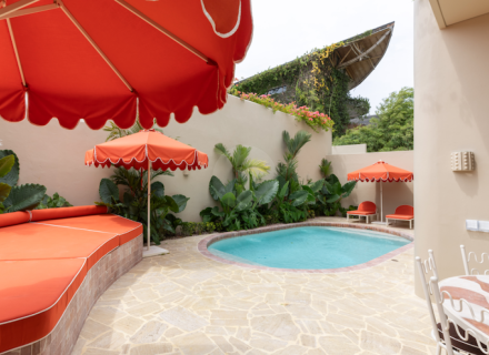 backyard garden established