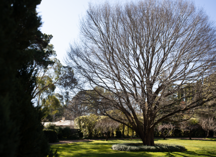 Villa Vista, Burradoo_14