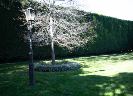 Villa Vista, Burradoo_15