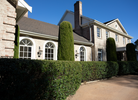 Villa Vista, Burradoo_26