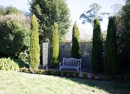 outdoor area