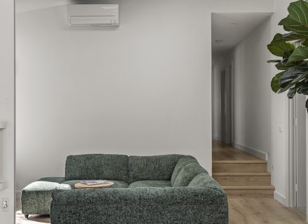 Vireo, Mornington-10