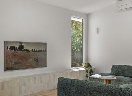 Vireo, Mornington-5