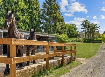 Voyage, Middle Dural-30