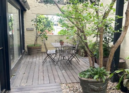 backyard garden established