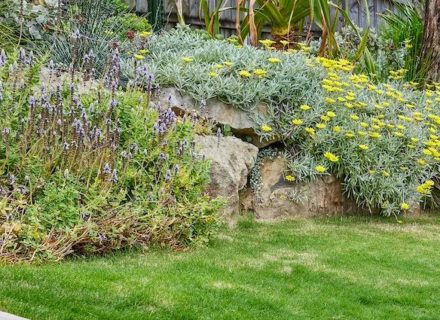 garden established