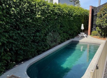 pool garden established