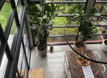 Westport, Mount Martha9