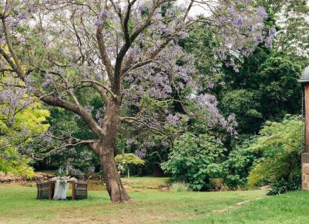 garden established