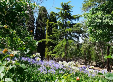 garden established