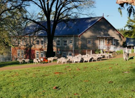 Windsor Abbey, Pewsey Vale-14