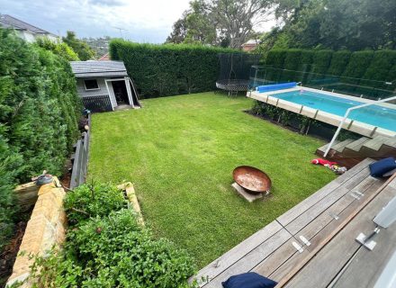 backyard garden established