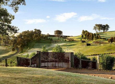 Yarraman 21