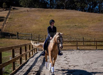 Yarraman 36