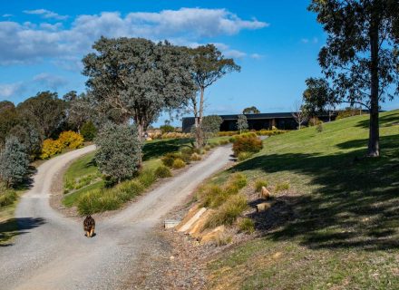 Yarraman, Park Orchard-01