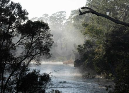 Yarraman, Park Orchard-19