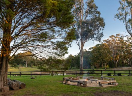 outdoor area